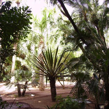 Appart Avec Vue Jardin/Majorelle Marrákes Kültér fotó
