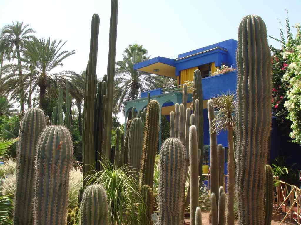 Appart Avec Vue Jardin/Majorelle Marrákes Kültér fotó