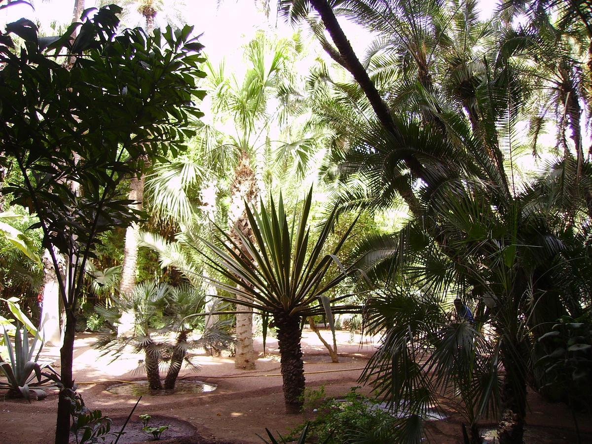 Appart Avec Vue Jardin/Majorelle Marrákes Kültér fotó